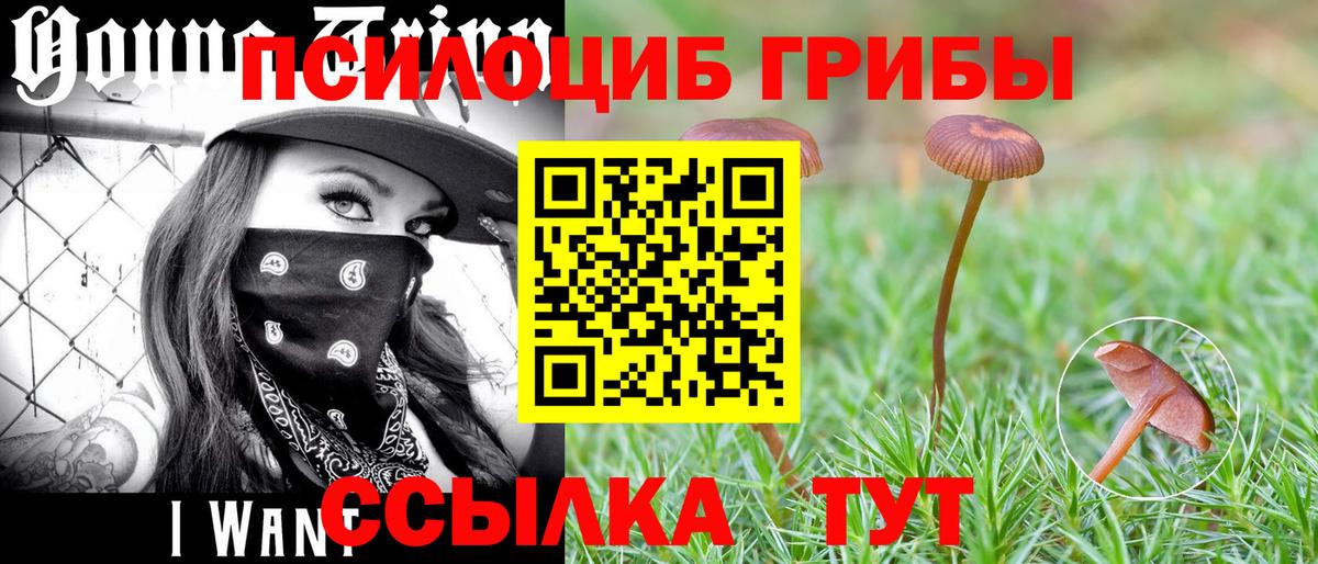 Галлюциногенные грибы Psilocybine cubensis  Вход с VPN  Усть-Илимск 